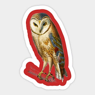 Vintage chouette effraie bird-owl Sticker